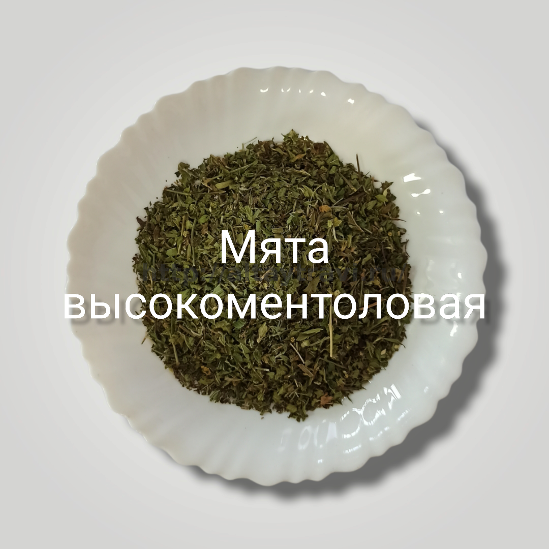 Купить Высокоментоловую Мяту Онлайн | Свежая и Ароматная Мята в ...